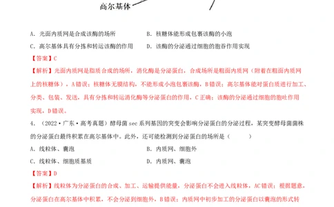 第05练细胞器（解析版）_新高考复习资料_2023年新高考复习资料_一轮复习_2023年高考生物一轮复习小题多维练（新高考专用）