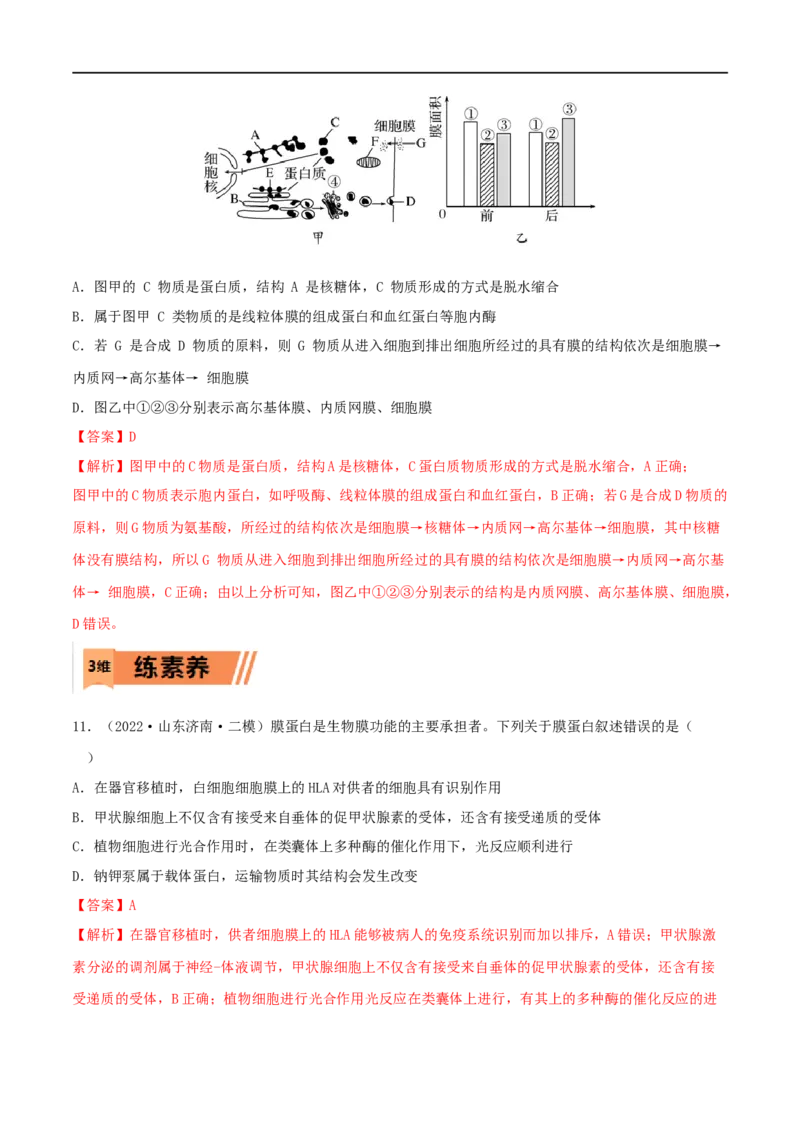 第05练细胞器（解析版）_新高考复习资料_2023年新高考复习资料_一轮复习_2023年高考生物一轮复习小题多维练（新高考专用）