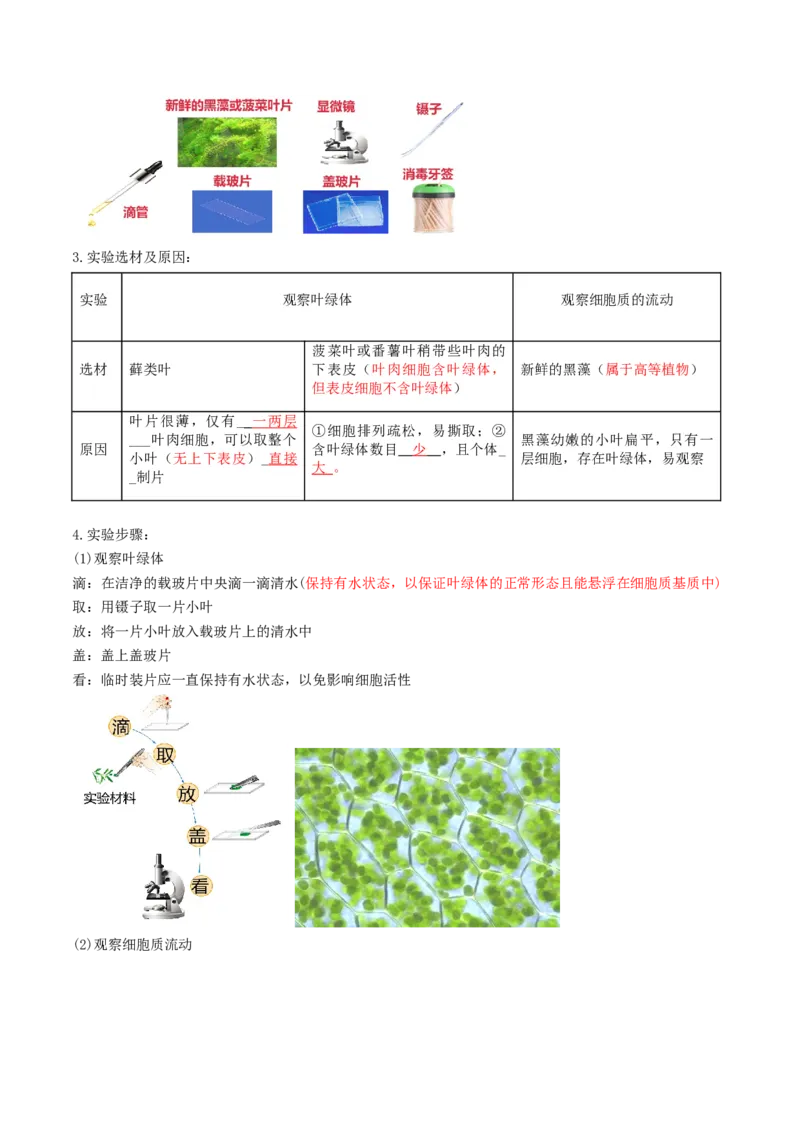 第06讲细胞器和生物膜系统（讲义）（原卷版）_2025年新高考资料_一轮复习_2025年高考生物一轮复习讲练测（新教材新高考）