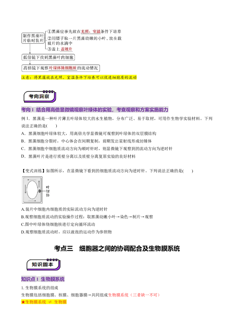 第06讲细胞器和生物膜系统（讲义）（原卷版）_2025年新高考资料_一轮复习_2025年高考生物一轮复习讲练测（新教材新高考）