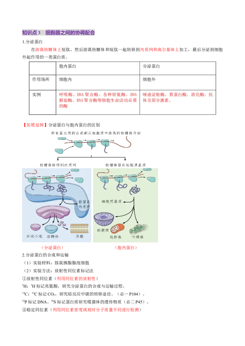 第06讲细胞器和生物膜系统（讲义）（原卷版）_2025年新高考资料_一轮复习_2025年高考生物一轮复习讲练测（新教材新高考）