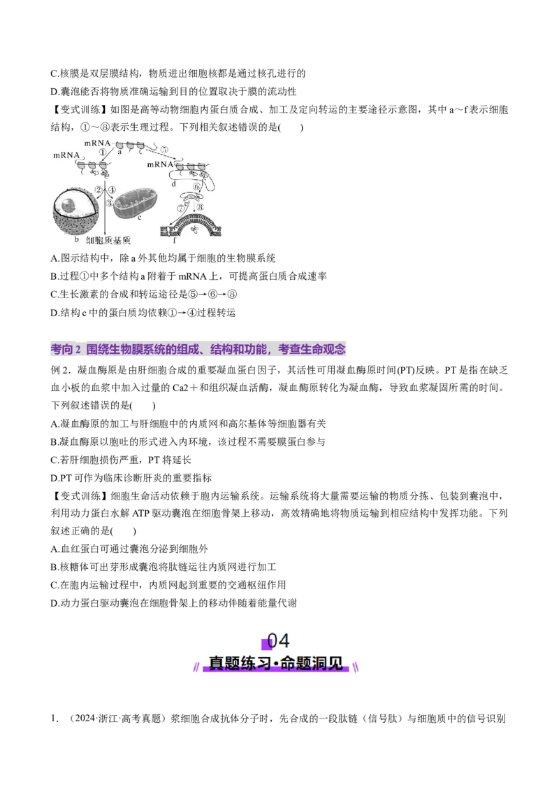 第06讲细胞器和生物膜系统（讲义）（原卷版）_2025年新高考资料_一轮复习_2025年高考生物一轮复习讲练测（新教材新高考）