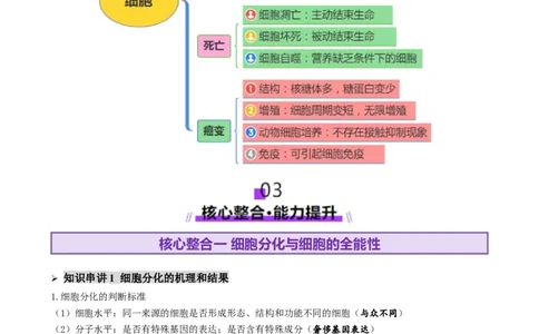 第06讲细胞的分化、衰老、死亡和癌变（讲义）（解析版）_2025年新高考资料_二轮复习_01高考语文等多个文件_上好课2025年高考生物二轮复习讲练测（新高考通用）