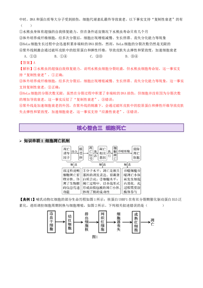 第06讲细胞的分化、衰老、死亡和癌变（讲义）（解析版）_2025年新高考资料_二轮复习_01高考语文等多个文件_上好课2025年高考生物二轮复习讲练测（新高考通用）