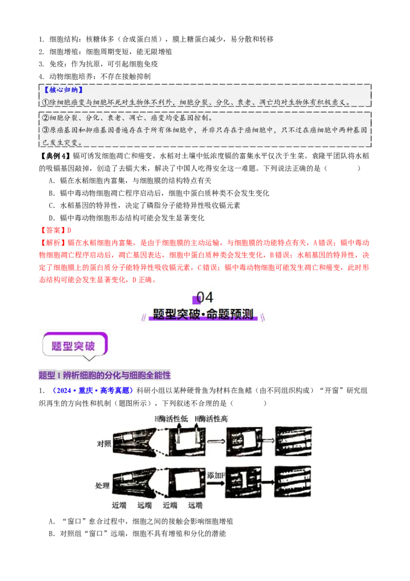 第06讲细胞的分化、衰老、死亡和癌变（讲义）（解析版）_2025年新高考资料_二轮复习_01高考语文等多个文件_上好课2025年高考生物二轮复习讲练测（新高考通用）
