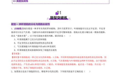 第06讲细胞的分化、衰老、死亡和癌变（专项训练，3大题型）（解析版）_2025年新高考资料_二轮复习_上好课2025年高考生物二轮复习讲练测（新高考通用）3380526