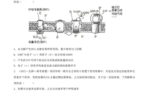 第09练光合作用（原卷版）_新高考复习资料_2023年新高考复习资料_一轮复习_2023年高考生物一轮复习小题多维练（新高考专用）