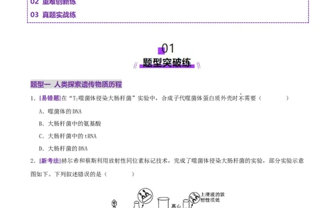 第09讲基因的本质和表达（专项训练，3大题型）（原卷版）_2025年新高考资料_二轮复习_01高考语文等多个文件_上好课2025年高考生物二轮复习讲练测（新高考通用）