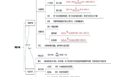 第04讲细胞呼吸和光合作用（讲义）解析版_新高考复习资料_2024年新高考复习资料_二轮复习资料_2024年高考生物二轮复习讲练测（新教材新高考）_配套讲义_教师版（含答案解析）