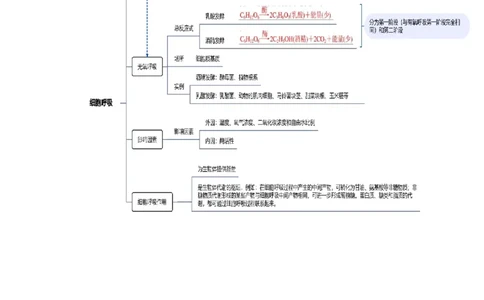 第04讲细胞呼吸和光合作用（讲义）解析版_新高考复习资料_2024年新高考复习资料_二轮复习资料_2024年高考生物二轮复习讲练测（新教材新高考）_配套讲义_教师版（含答案解析）
