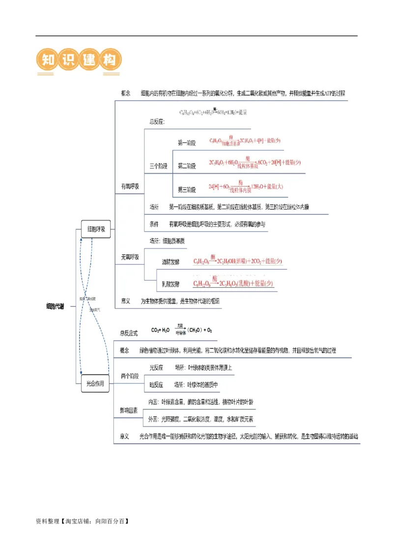 第04讲细胞呼吸和光合作用（讲义）解析版_新高考复习资料_2024年新高考复习资料_二轮复习资料_2024年高考生物二轮复习讲练测（新教材新高考）_配套讲义_教师版（含答案解析）
