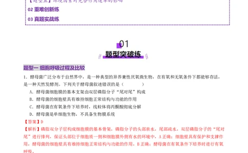 第04讲细胞呼吸和光合作用（专项训练）（解析版）_2025年新高考资料_二轮复习_01高考语文等多个文件_上好课2025年高考生物二轮复习讲练测（新高考通用）