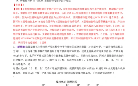 第04讲细胞呼吸和光合作用（专项训练）（解析版）_2025年新高考资料_二轮复习_01高考语文等多个文件_上好课2025年高考生物二轮复习讲练测（新高考通用）