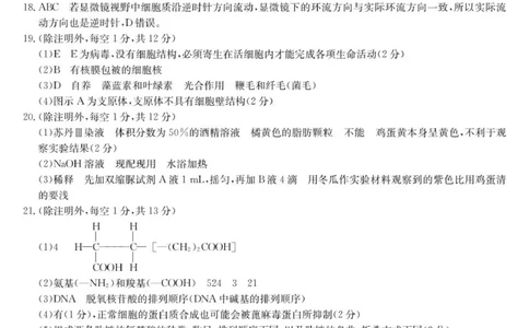 2025-2026学年高一年级11月考试检测试卷生物答案_2025年11月高一试卷_251115河北省保定市部分校2025-2026学年高一上学期期中考试（全）