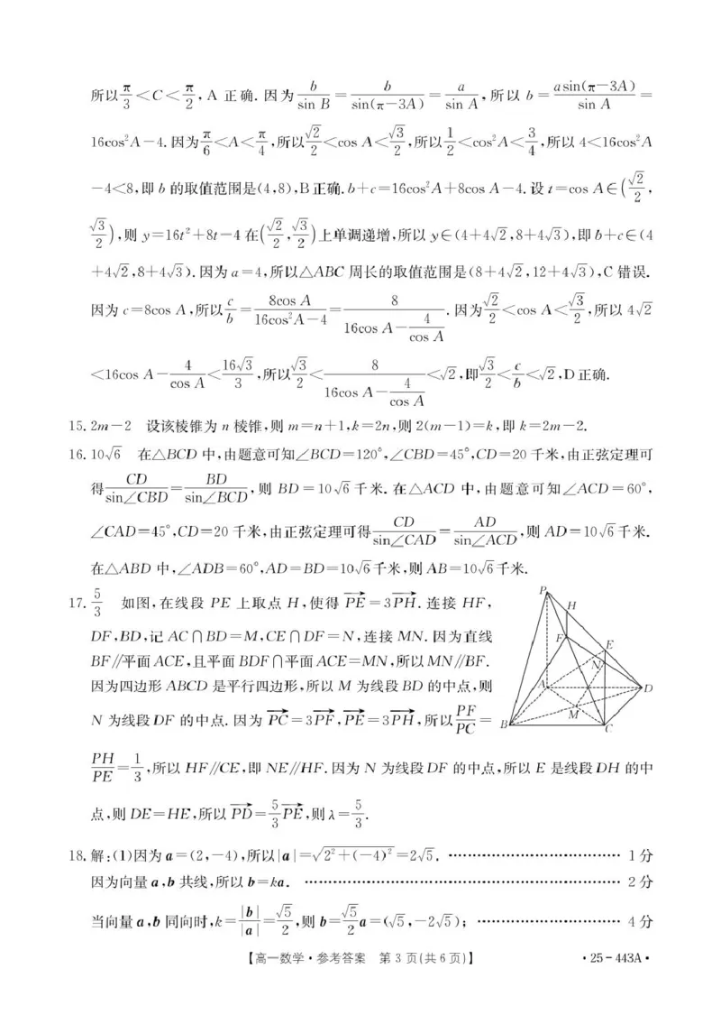 443A_2数学答案_2025年05月试卷_0525河北省邢台市质检联盟2024-2025学年高一下学期期中考试_河北省邢台市2024-2025学年高一下学期质检联盟期中考试数学试题（图片版，含详解）
