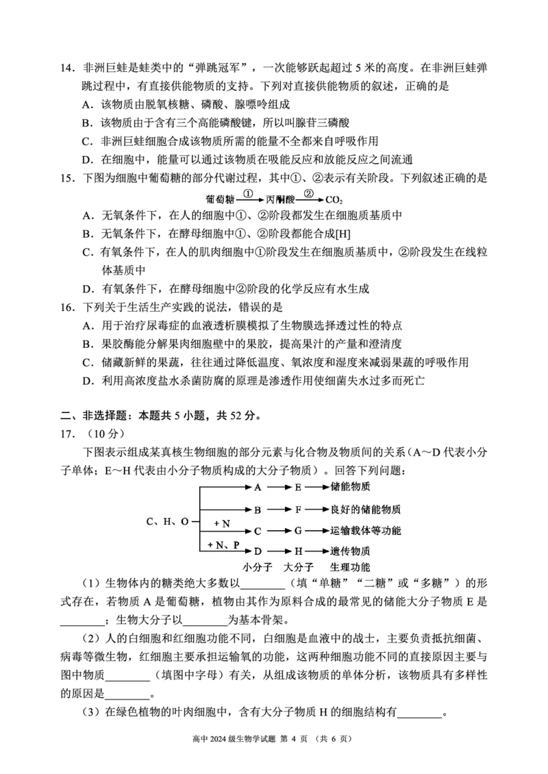 2024～2025学年度上期高中2024级期末考试生物学试题（6页）_2024年12月试卷_1226四川省成都市蓉城名校联盟2024-2025学年高一上学期期末考试