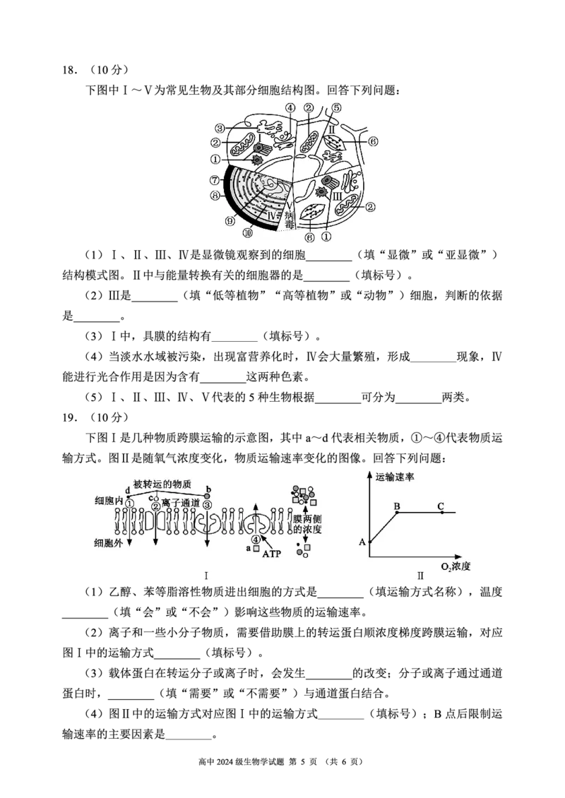 2024～2025学年度上期高中2024级期末考试生物学试题（6页）_2024年12月试卷_1226四川省成都市蓉城名校联盟2024-2025学年高一上学期期末考试