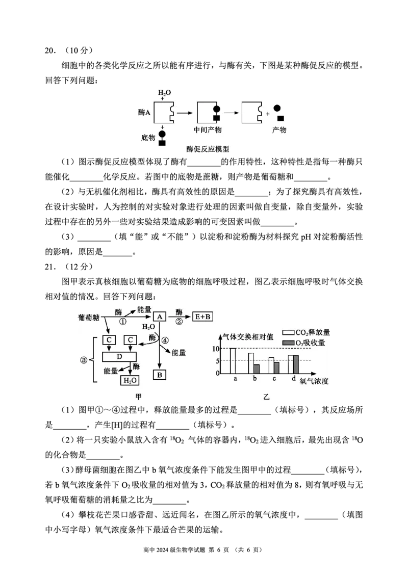 2024～2025学年度上期高中2024级期末考试生物学试题（6页）_2024年12月试卷_1226四川省成都市蓉城名校联盟2024-2025学年高一上学期期末考试
