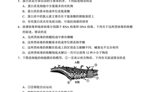 2024～2025学年度上期高中2024级期末考试生物学试题（6页）_2024年12月试卷_1226四川省成都市蓉城名校联盟2024-2025学年高一上学期期末考试