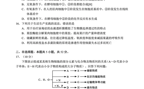 2024～2025学年度上期高中2024级期末考试生物学试题（6页）_2024年12月试卷_1226四川省成都市蓉城名校联盟2024-2025学年高一上学期期末考试