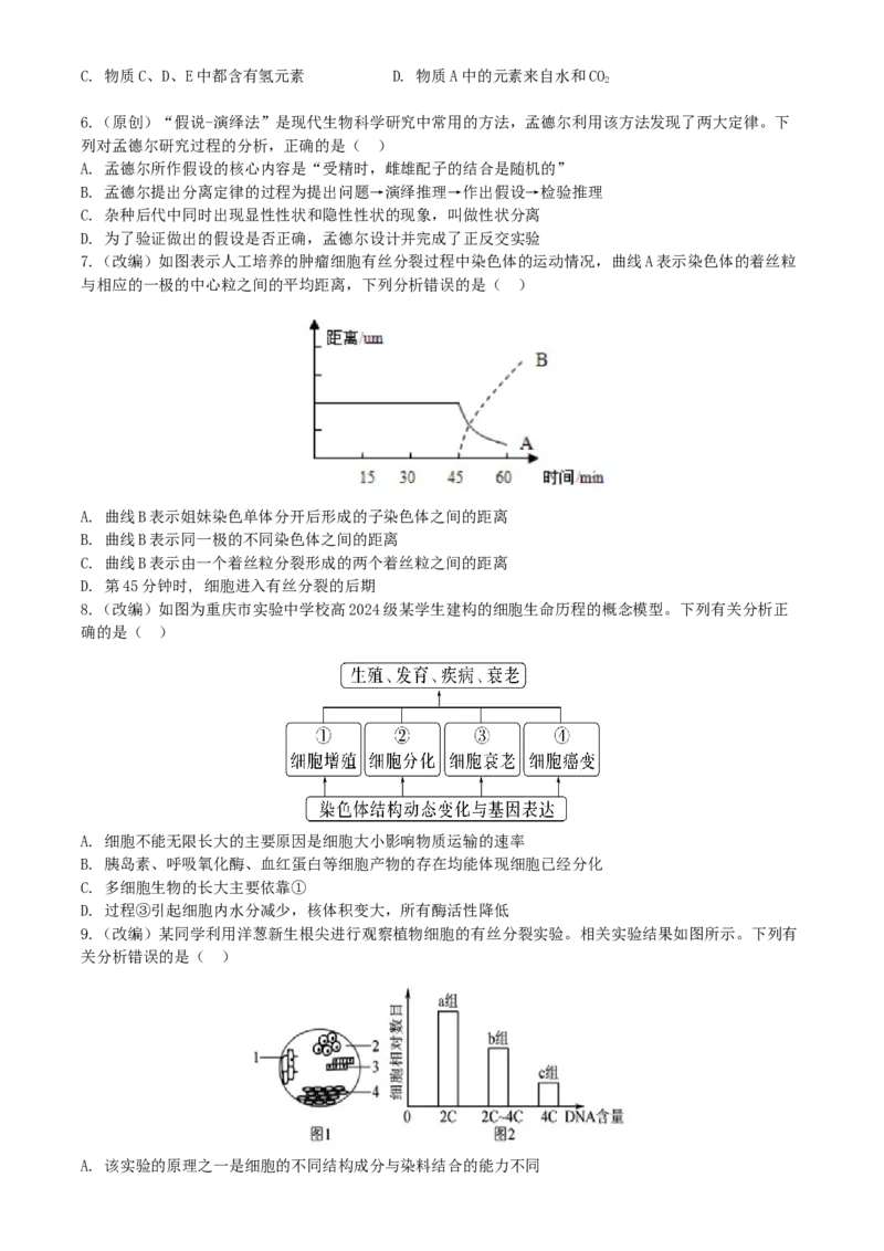 2024-2025学年下期高2024级第一次月考试题_2025年04月试卷_0413重庆市七校联考2024-2025学年高一下学期第一次月考_重庆市七校联考2024-2025学年高一下学期第一次月考生物试题