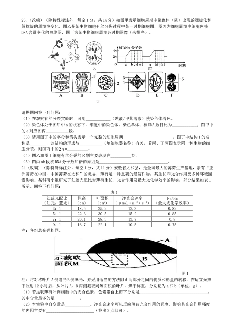 2024-2025学年下期高2024级第一次月考试题_2025年04月试卷_0413重庆市七校联考2024-2025学年高一下学期第一次月考_重庆市七校联考2024-2025学年高一下学期第一次月考生物试题