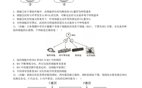 2024-2025学年下期高2024级第一次月考试题_2025年04月试卷_0413重庆市七校联考2024-2025学年高一下学期第一次月考_重庆市七校联考2024-2025学年高一下学期第一次月考生物试题