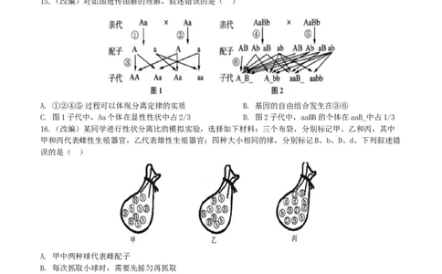 2024-2025学年下期高2024级第一次月考试题_2025年04月试卷_0413重庆市七校联考2024-2025学年高一下学期第一次月考_重庆市七校联考2024-2025学年高一下学期第一次月考生物试题