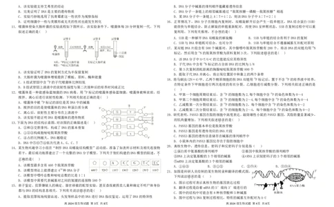 2024级第二次月考试生物试题_2025年05月试卷_0530四川省南充市高级中学2024-2025学年高一下学期5月月考试题
