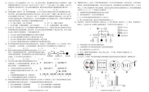 2024级第二次月考试生物试题_2025年05月试卷_0530四川省南充市高级中学2024-2025学年高一下学期5月月考试题