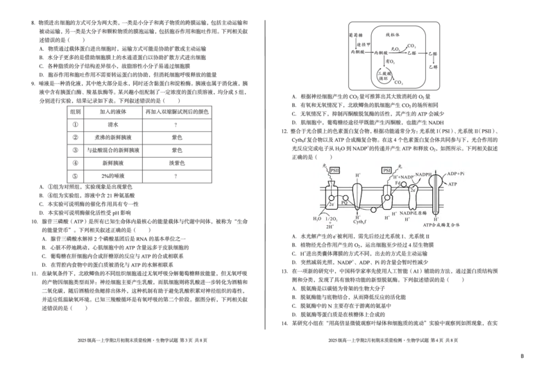 2025级高一上学期2月初期末质量检测生物B_2026年02月高一试卷_260214安徽省A10联盟2025级高一上学期2月初期末质量检测（全科）