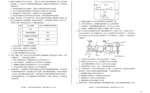2025级高一上学期2月初期末质量检测生物B_2026年02月高一试卷_260214安徽省A10联盟2025级高一上学期2月初期末质量检测（全科）