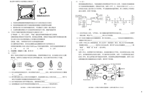2025级高一上学期2月初期末质量检测生物B_2026年02月高一试卷_260214安徽省A10联盟2025级高一上学期2月初期末质量检测（全科）