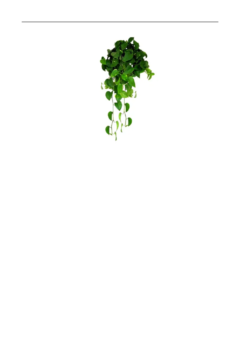 专题6.1质量-初中物理同步讲义_初物_人教版初中物理初二三教案讲义专项练习八九年级电子版word资料_最新人教版初中物理初二上册_03人教版初中物理同步讲义专题8上