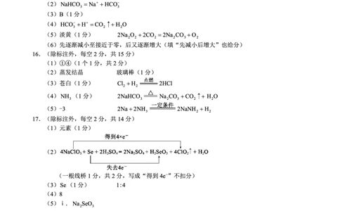 2024～2025学年度上期高中2024级期中考试化学参考答案及评分标准_2024年11月试卷_1108四川省成都市蓉城名校联盟2024-2025学年高一上学期期中考
