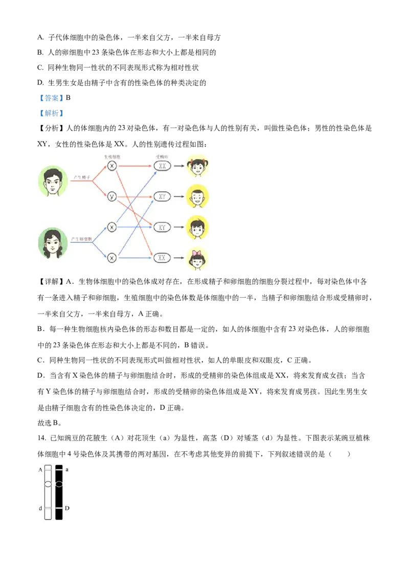 05八年级下学期期中生物试题（解析版）_初中全科电子版试卷练习试题_生物_生物8下练习_人教生物8年级下期中试卷10份
