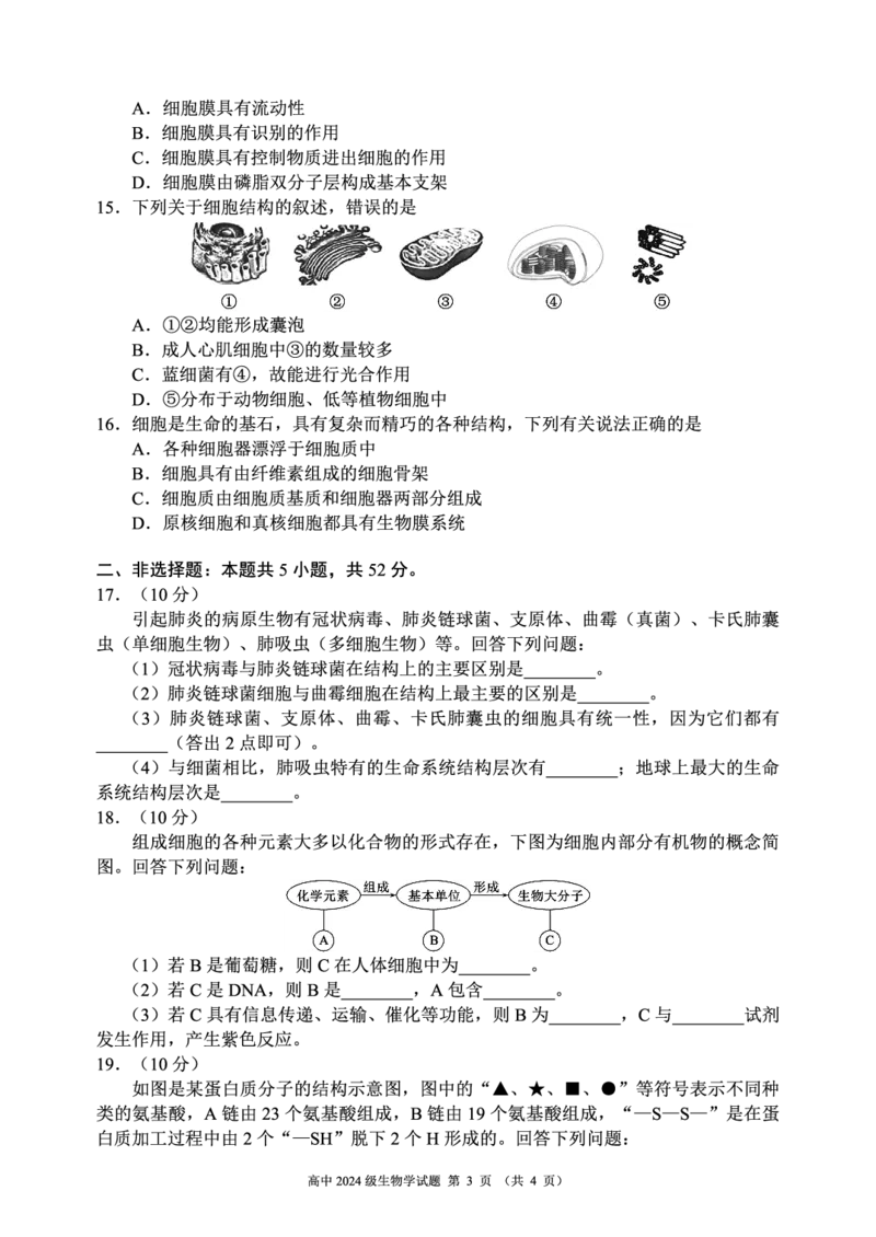 2024～2025学年度上期高中2024级期中考试生物学试题_2024年11月试卷_1108四川省成都市蓉城名校联盟2024-2025学年高一上学期期中考