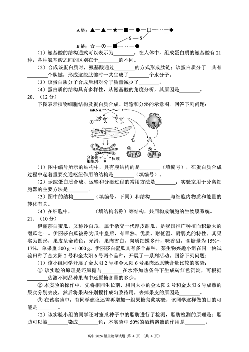 2024～2025学年度上期高中2024级期中考试生物学试题_2024年11月试卷_1108四川省成都市蓉城名校联盟2024-2025学年高一上学期期中考