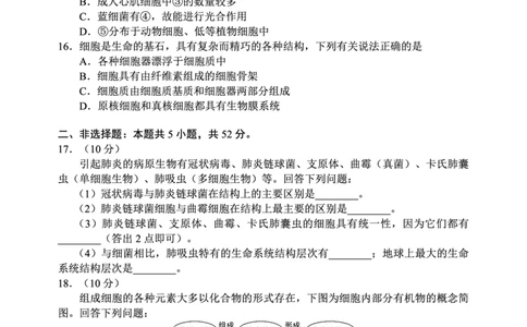 2024～2025学年度上期高中2024级期中考试生物学试题_2024年11月试卷_1108四川省成都市蓉城名校联盟2024-2025学年高一上学期期中考