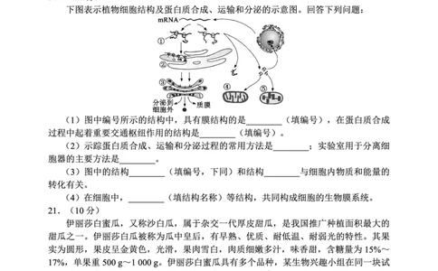 2024～2025学年度上期高中2024级期中考试生物学试题_2024年11月试卷_1108四川省成都市蓉城名校联盟2024-2025学年高一上学期期中考