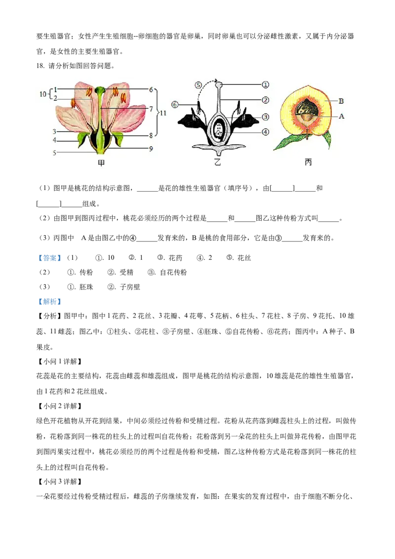 02八年级下学期期中生物试题（解析版）_初中全科电子版试卷练习试题_生物_生物8下练习_人教生物8年级下期中试卷10份