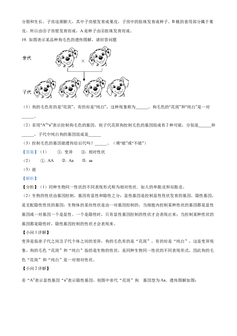 02八年级下学期期中生物试题（解析版）_初中全科电子版试卷练习试题_生物_生物8下练习_人教生物8年级下期中试卷10份