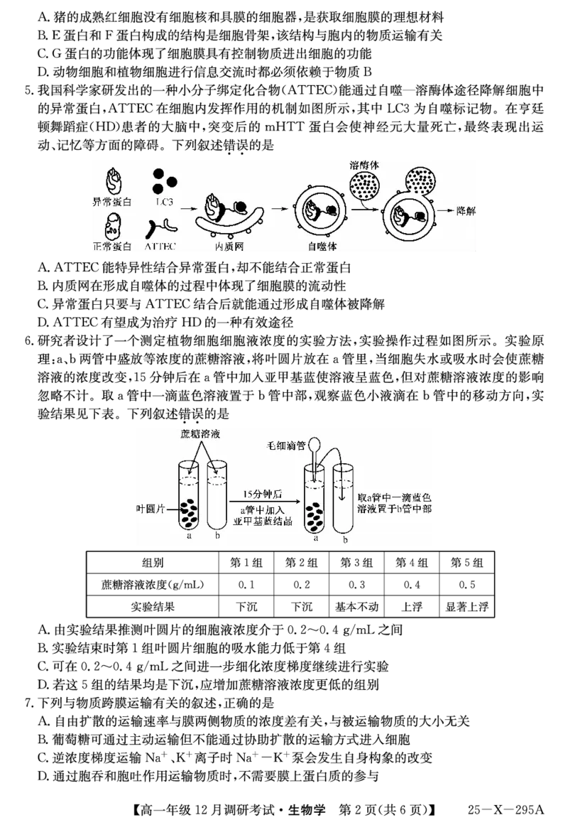 27届高一年级TOP二十名校12月调研考试生物试卷_2024年12月试卷_1220河南省新高中创新联盟TOP二十名校2024-2025学年高一上学期12月调研考试