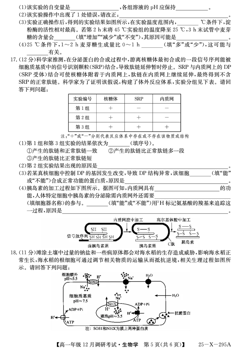 27届高一年级TOP二十名校12月调研考试生物试卷_2024年12月试卷_1220河南省新高中创新联盟TOP二十名校2024-2025学年高一上学期12月调研考试
