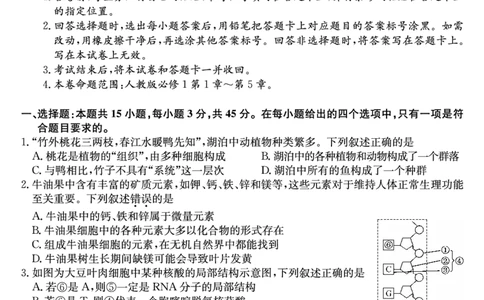 27届高一年级TOP二十名校12月调研考试生物试卷_2024年12月试卷_1220河南省新高中创新联盟TOP二十名校2024-2025学年高一上学期12月调研考试