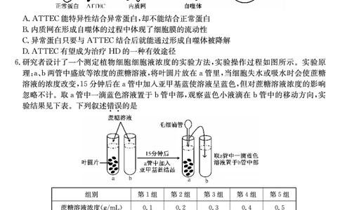 27届高一年级TOP二十名校12月调研考试生物试卷_2024年12月试卷_1220河南省新高中创新联盟TOP二十名校2024-2025学年高一上学期12月调研考试