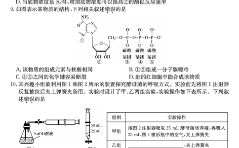 27届高一年级TOP二十名校12月调研考试生物试卷_2024年12月试卷_1220河南省新高中创新联盟TOP二十名校2024-2025学年高一上学期12月调研考试