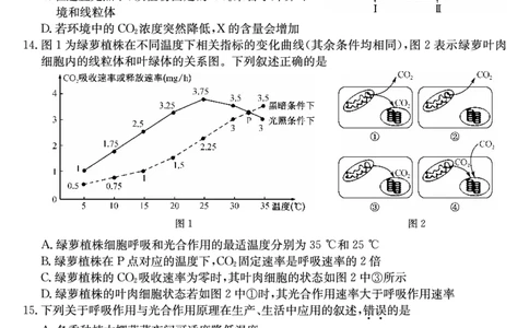 27届高一年级TOP二十名校12月调研考试生物试卷_2024年12月试卷_1220河南省新高中创新联盟TOP二十名校2024-2025学年高一上学期12月调研考试