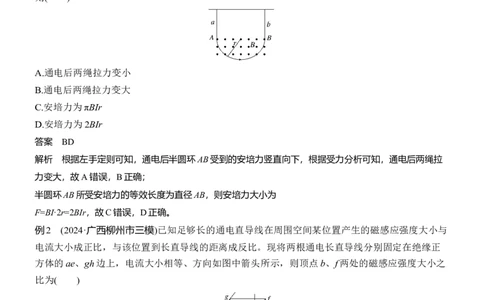 第一篇　专题三　第9讲　磁场_04高考物理_2025年新高考资料_二轮复习_2025年高考物理大二轮_2025物理二轮专题复习教师用书Word版文档_第一篇　专题复习