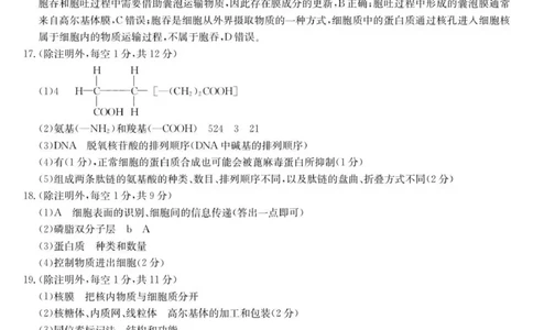 26-L-189A-生物DA_2025年12月高一试卷_251217河南省开封市五校2025-2026学年高一上学期期中联考_河南省开封市五校2025-2026学年高一上学期11月期中生物试题（图片版，含答案）